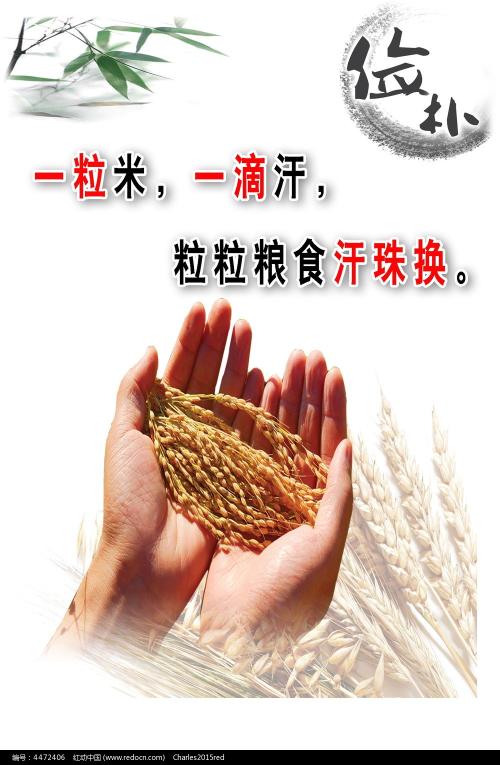 买葡萄牙